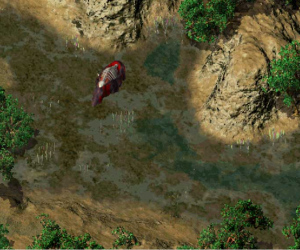 Natura