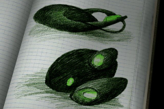 Screenshoty - Cut Sceny