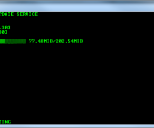 Auto Updater 3.0.9.303