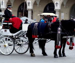 Photos - Cracow [2016.03.22]