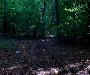 Polish WA Field Championship 2014 - Toszek