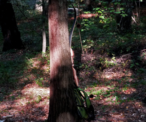 Polish WA Field Championship 2014 - Toszek