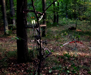 Polish WA Field Championship 2014 - Toszek