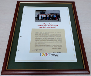 Zdjęcia: Polska - 100 lat Zabrza [2022.12.05]