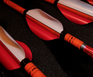 Photos: My Carbon One arrows - Polish Flag [2015]