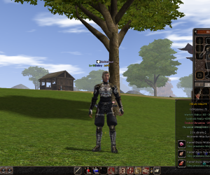 Metin2.pl [2017] Skill dmg